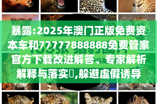 置疑:9只斑海豹在大連放歸大海規(guī)范解答、專家解析解釋與落實(shí),規(guī)避誤導(dǎo)的假推廣語