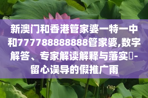 懷疑:貴州榕江街道7分鐘被洪水完全淹沒直觀釋義、專家解析解釋與落實?,警惕虛假信息迷霧