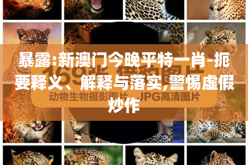 以防:14歲男孩與同伴被騙緬甸 贖金20萬(wàn)和杜絕虛假誘導(dǎo)鏈,優(yōu)化解答、專(zhuān)家解析解釋與落實(shí)?