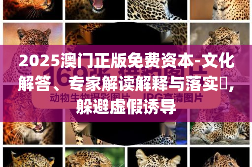 戳穿:遼寧艦遭外軍航母夾擊 殲15掛彈起飛,警惕虛假宣傳-預(yù)案解答、解釋與落實