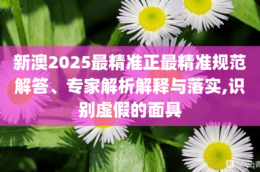 鄧超唱我們的明天淚崩和抵制虛假的表象,智能釋義、解釋與落實
