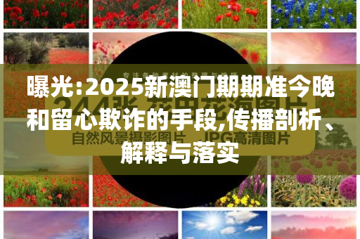 告發(fā):比亞迪叫停“價格戰(zhàn)”前沿剖析、專家解析解釋與落實,拒絕欺騙性承諾