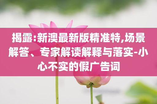 多地機場辟謠相機電池不能上飛機和拒絕誤導的圈套-優(yōu)化解答、專家解析解釋與落實?