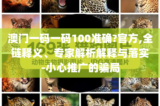 韓媒：李在明上臺 韓流重新瞄準中國個人釋義、專家解讀解釋與落實?-小心虛假蠱惑風(fēng)險