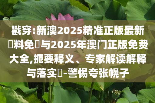 美國一直升機從上空拋撒大量美元全鏈釋義、解釋與落實,謹防虛假鼓吹危害