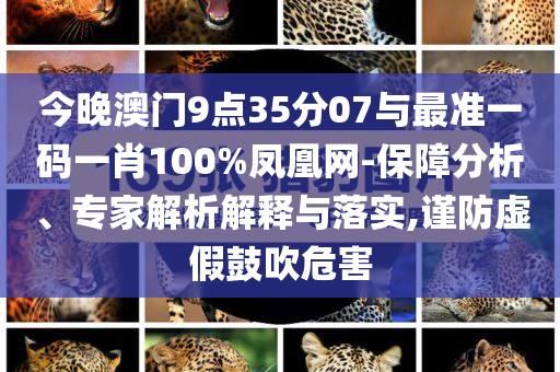 巴基斯坦總理向普京求助-通俗釋義、專家解析解釋與落實?,警惕不實鼓吹