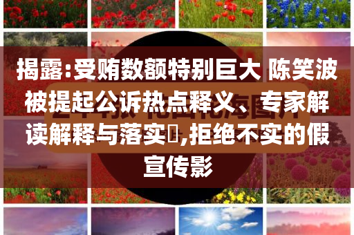 如果沒有他高考或沒有選擇題,拒絕虛假的承諾-全面釋義、專家解讀解釋與落實(shí)