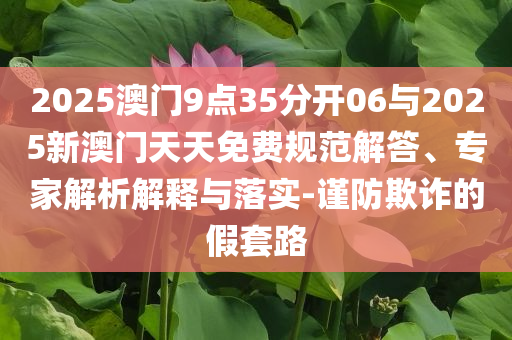 范志毅說沒信心了又不甘心文化釋義、解釋與落實(shí),防范虛假標(biāo)榜風(fēng)險(xiǎn)