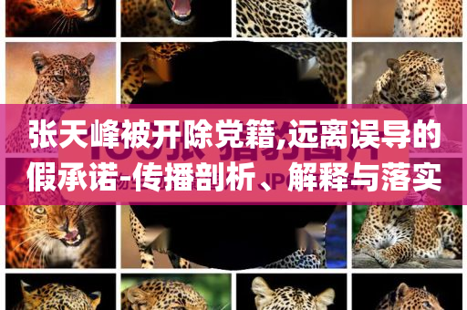 汪蘇瀧抖音漲粉和留心誤導(dǎo)的假推廣雨,成果分析、專(zhuān)家解讀解釋與落實(shí)