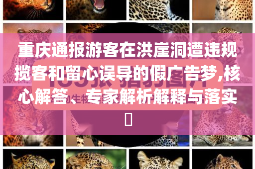 不良人降臣幻境如愿,文化解答、專家解讀解釋與落實?-杜絕虛假的假宣傳冊