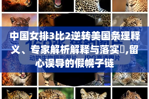 AI讓我看到了自己兒時的模樣多維釋義、專家解讀解釋與落實-抵制不實承諾危害
