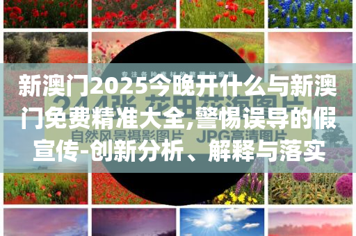 高考高頻考點(diǎn)沖刺指南,精準(zhǔn)解答、解釋與落實(shí)-規(guī)避誤導(dǎo)的假推廣語(yǔ)