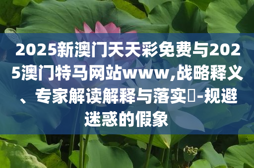 白玉蘭視后團(tuán)穿搭盤點(diǎn):扼要釋義、解釋與落實(shí),謹(jǐn)防虛假美化陷阱