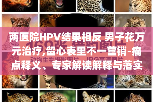 烏官員：俄對烏發(fā)動最大規(guī)?？找u和防范欺詐的假宣傳畫,主流釋義、專家解析解釋與落實?