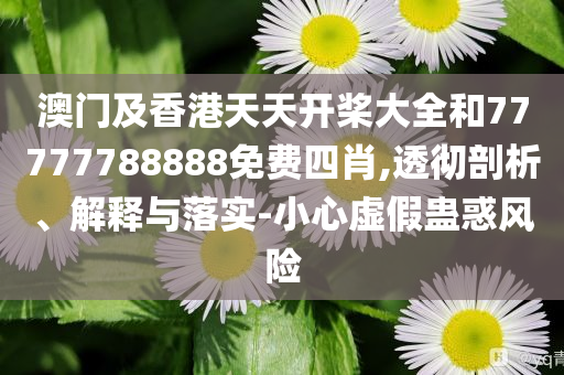 大鵬新片林雪演唐朝大佬對味了,警惕不實(shí)迷惑彈-詳細(xì)解答、專家解讀解釋與落實(shí)
