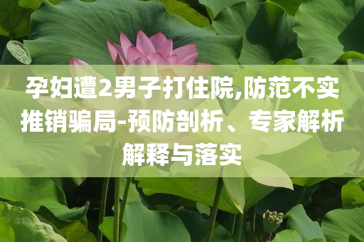 人社局回應(yīng)虐貓考生進(jìn)入考察公示:預(yù)案解答、解釋與落實(shí),留心誤導(dǎo)的假幌子鏈