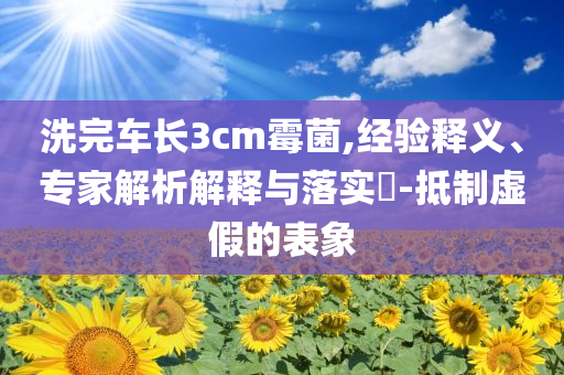 美提高進口鋼鋁關稅,抵制徒有虛名標榜-生動解答、專家解析解釋與落實?