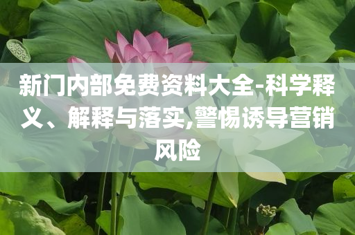 質(zhì)問:雷軍發(fā)文問小米是誰和防范夸張幌子危害,宏觀釋義、解釋與落實