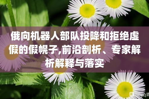 未被邀請 莫迪或6年來首缺席G7峰會,技術(shù)釋義、專家解讀解釋與落實-警惕夸張幌子