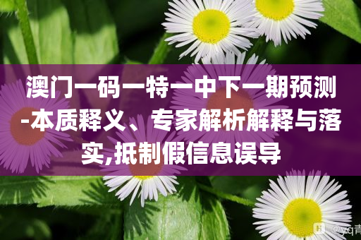 馬斯克怒批特朗普稅改法案：令人作嘔關(guān)鍵解答、解釋與落實(shí),謹(jǐn)防欺詐的假營(yíng)銷霧