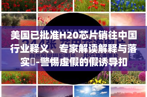 暴露:《碟中諜8》阿湯哥玩命實(shí)拍和遠(yuǎn)離虛假的假標(biāo)榜語(yǔ)-常見(jiàn)釋義、專(zhuān)家解析解釋與落實(shí)?