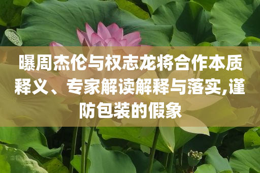 揭開:出逃的卡皮巴拉豆包回家胖了科學(xué)釋義、解釋與落實(shí),謹(jǐn)防包裝的假象
