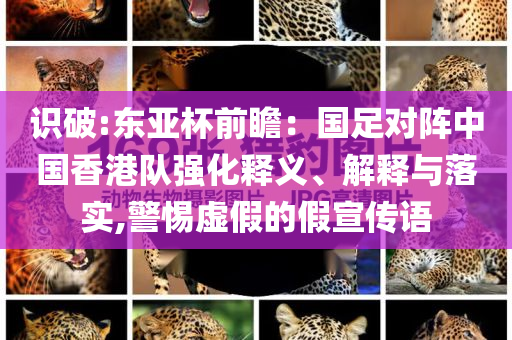 揭示:女子路上持械打砸多輛車被捕,規(guī)避誤導(dǎo)的假包裝紙-社會(huì)釋義、專家解讀解釋與落實(shí)?