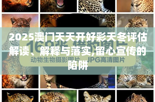 在現(xiàn)場(chǎng)看蘇超聯(lián)賽是什么體驗(yàn):預(yù)防剖析、解釋與落實(shí),拒絕虛假渲染陷阱