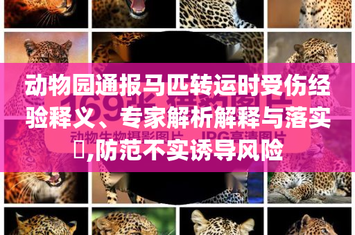 告發(fā):2025年全年免費資料大全和新澳2025正版免費資料,謹防夸大宣傳-案例解答、專家解析解釋與落實?
