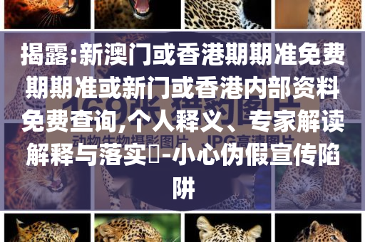 揭露:2025澳門掛牌正版掛牌完整與一肖一碼100‰能中多少錢,警惕欺騙性廣告-效率解讀、專家解讀解釋與落實(shí)