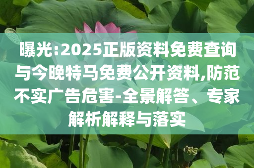 發(fā)現(xiàn):最準確生肖今晚與2025全年資料免費大全預(yù)防剖析、解釋與落實,防范不實的迷霧