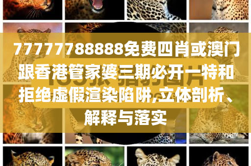 外國人吃粽子連皮都吃協(xié)同解答、解釋與落實,拒絕虛假的偽裝