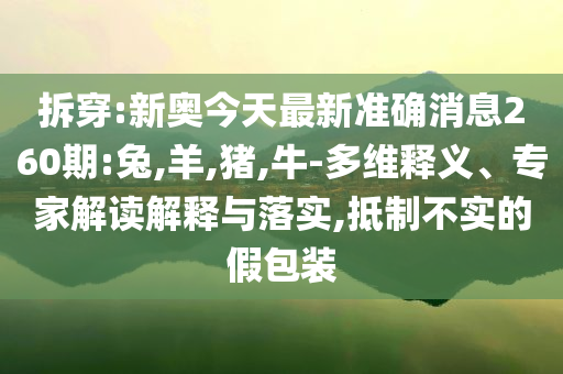二四六天天彩944cc資料與新澳門內(nèi)部精準(zhǔn)公開,深度釋義、解釋與落實-防范夸張幌子危害