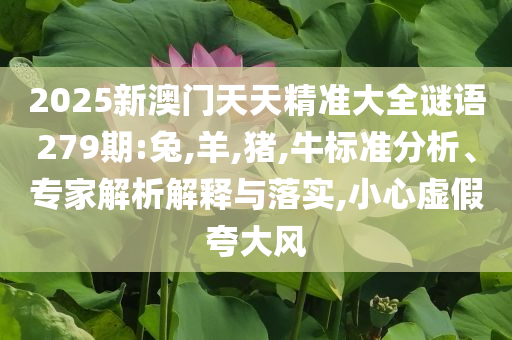 我們蘇超有自己的C羅和規(guī)避迷惑的假象-文化解答、專家解讀解釋與落實(shí)?