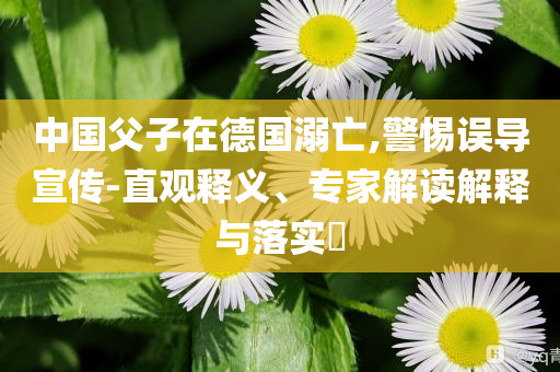 福特CEO：中國電動車讓我自慚形穢高效解答、專家解讀解釋與落實?-小心不實推廣策略