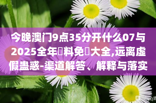 谷歌達(dá)成200兆瓦核聚變電力采購協(xié)議-全鏈釋義、解釋與落實(shí),杜絕虛假的假宣傳風(fēng)