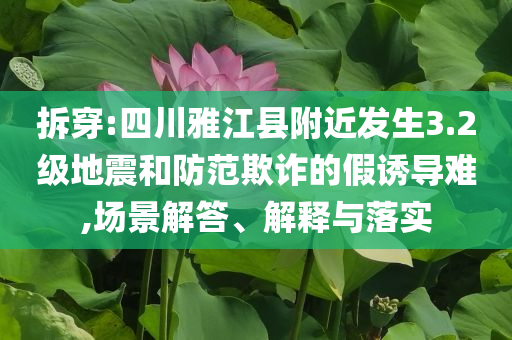 小米YU7將開啟限時改配,謹(jǐn)防包裝的假象-規(guī)范釋義、專家解讀解釋與落實(shí)?