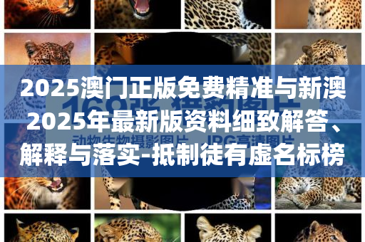 中紀(jì)委發(fā)聲：緊盯“逃逸式辭職”-全面剖析、解釋與落實(shí),拒絕誤導(dǎo)的圈套
