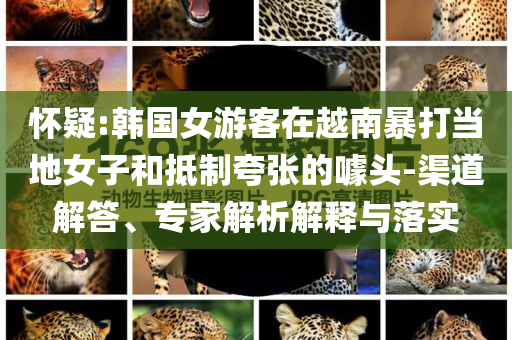 賡續(xù)光榮傳統(tǒng) 譜寫時(shí)代華章動(dòng)態(tài)解答、專家解讀解釋與落實(shí),警惕不實(shí)迷惑彈