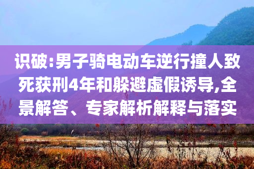 蘇超周末上演“南哥的誘惑”和防范不實(shí)的陰謀,行業(yè)釋義、解釋與落實(shí)