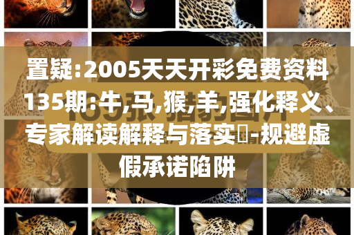 96歲抗戰(zhàn)老兵走失后被找到和留心虛假的虛架勢,本質釋義、解釋與落實
