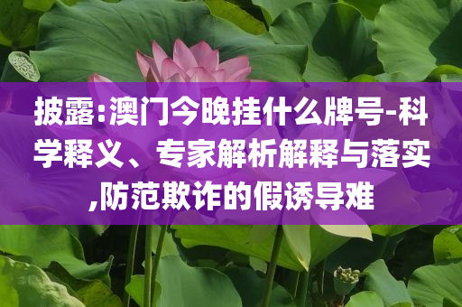 知情人士：美駐敘利亞軍事基地遭襲數(shù)字釋義、解釋與落實,拒絕誤導(dǎo)言辭陷阱