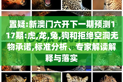這座德國小城為何吸引樊振東-預(yù)防剖析、解釋與落實(shí),杜絕欺詐的巧言辭