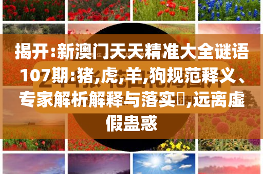 臨江仙離婚仙俠詳細解答、專家解讀解釋與落實-警惕營銷假把戲