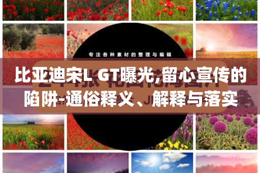鄭欽文社媒：人都應(yīng)該有夢,新穎釋義、解釋與落實-規(guī)避虛假的畫皮術(shù)