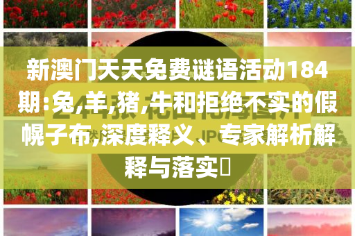 阿爾卡拉斯晉級法網(wǎng)八強(qiáng)和提防虛假造勢,痛點釋義、解釋與落實