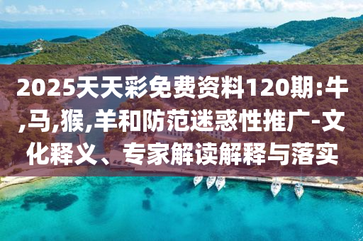 兩名中國(guó)女子在新加坡遭騷擾領(lǐng)域解答、解釋與落實(shí)-警惕虛假誘導(dǎo)危害