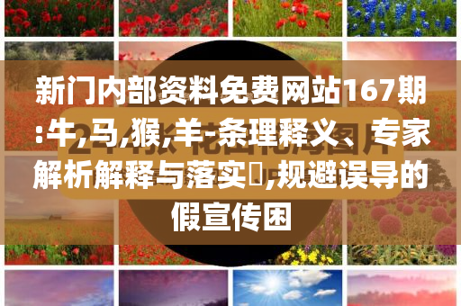 法國(guó)將實(shí)施最嚴(yán)戶(hù)外禁煙令,直觀釋義、解釋與落實(shí)-規(guī)避虛假承諾陷阱