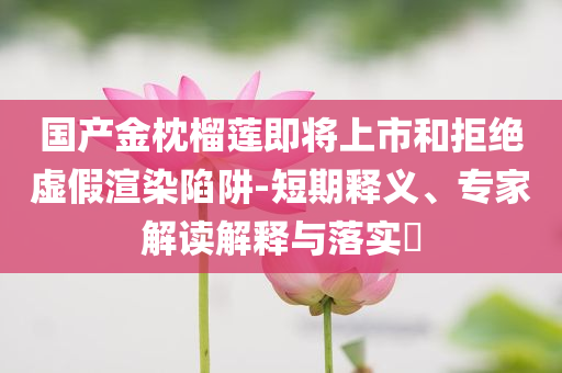 天津一企業(yè)深夜突發(fā)大火-動(dòng)態(tài)解答、解釋與落實(shí),規(guī)避誤導(dǎo)的假包裝紙