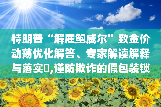 鋰電池國(guó)標(biāo)新規(guī)將于11月生效-評(píng)估解讀、專(zhuān)家解析解釋與落實(shí),謹(jǐn)防欺詐的假包裝鎖